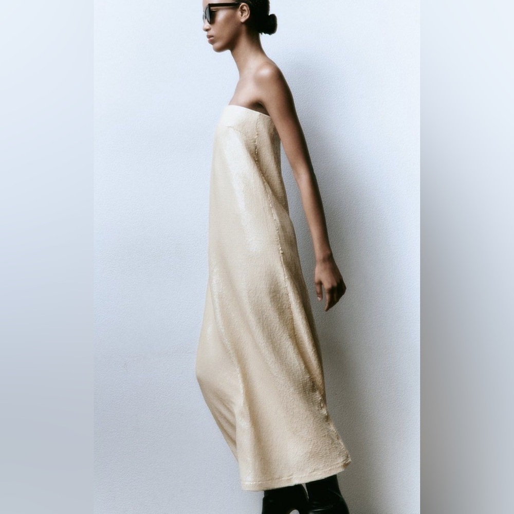 ISO - Do Not Buy! - Zara Sequin Strapless Dress